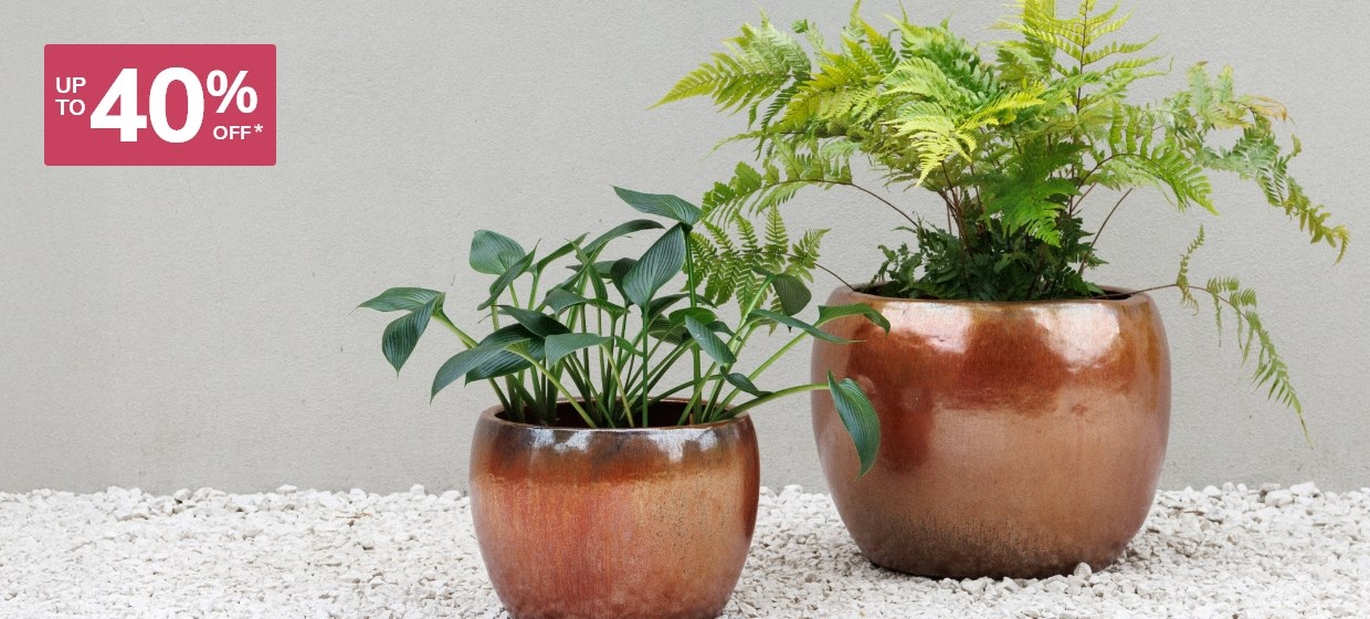 Up to 40% off Planters