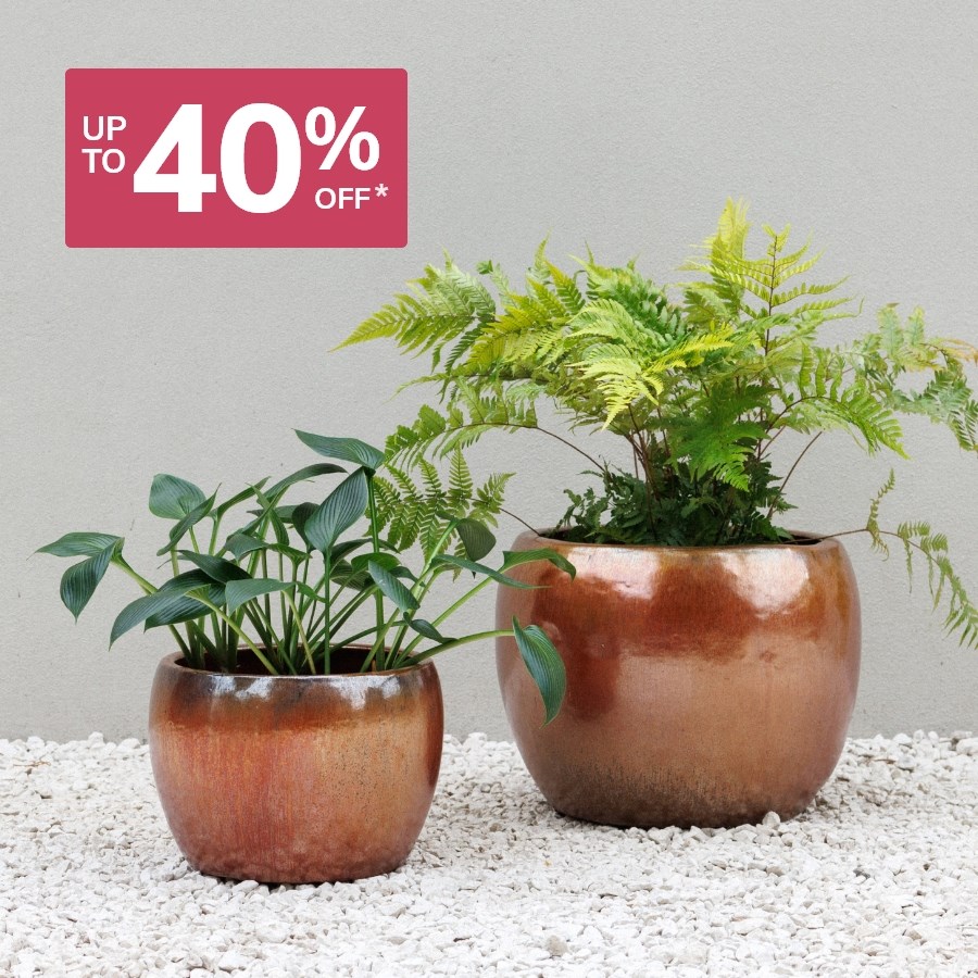 Up to 40% off Planters