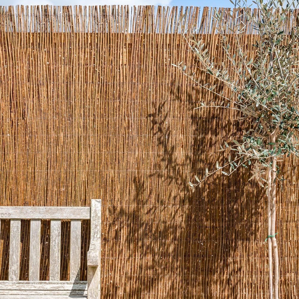 Up to 30% off Screening